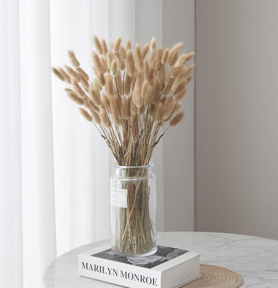 SBSG Gedroogde Natuurlijke Lisdodde - 20 Stuks Voor DIY Bloemstukken En Home Office Decor 17 Inch Lengte E SBSG Gedroogde Natuurlijke Lisdodde - 20 Stuks Voor DIY Bloemstukken En Home Office Decor 17 Inch Lengte E