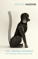 The Curious Incident of the Dog in the N