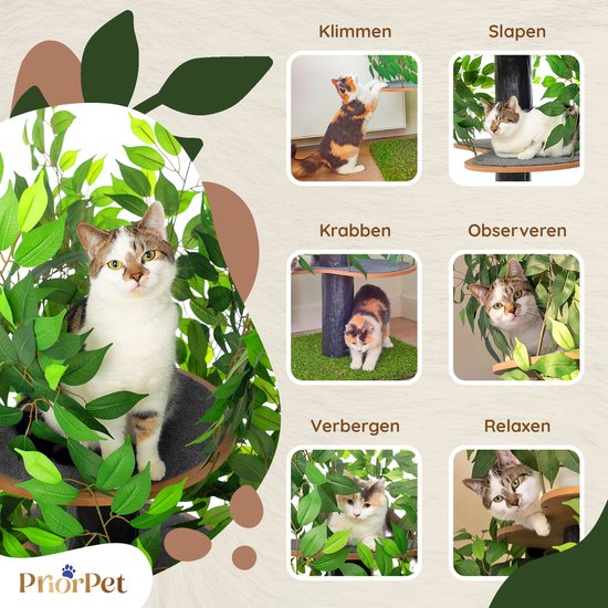 Arbre à chat à feuilles interchangeables - Griffoir breveté pour que les chats puissent grimper, se cacher et dormir - Poteaux griffoirs multi-niveaux - 120 cm Vert