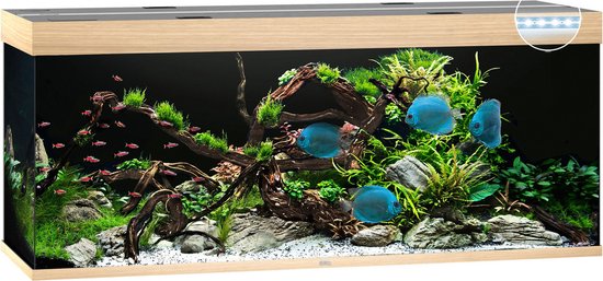 Juwel Aquarium Rio 450 Led 151x51x61 cm - Aquaria - Licht Hout