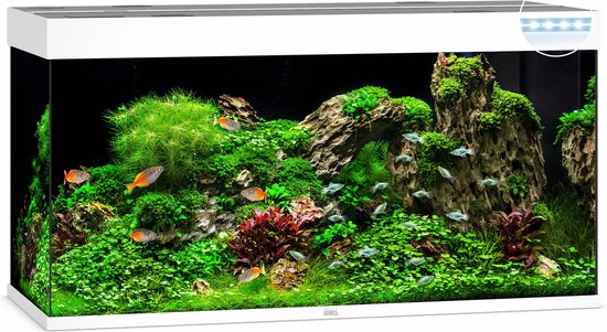 Juwel Aquarium Rio 350 Led 121x51x66 cm - Aquaria - Wit Ca. 350 L