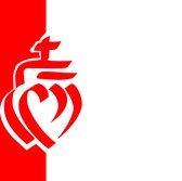 Drapeau Vendée 150x225cm