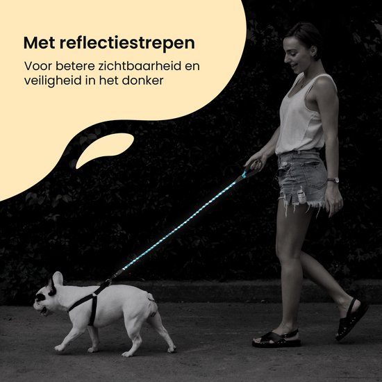 Vrouw met hond in het donker met reflecterende riem