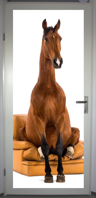 Deurposter zittend paard