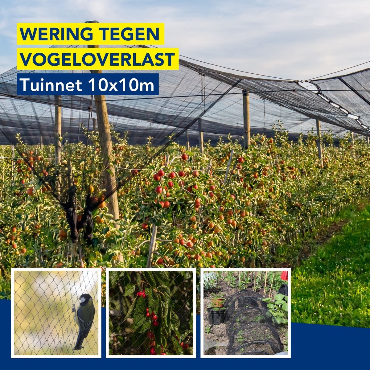 alouweekuky Vogelnet 10 m x 10 m, vogelnet, zwart, scheurvast plantennet voor kippenren, volièreget ter bescherming van fruitbomen en groenten tegen vogelvraat (maaswijdte 2,5 x 2,5 cm grote gaten