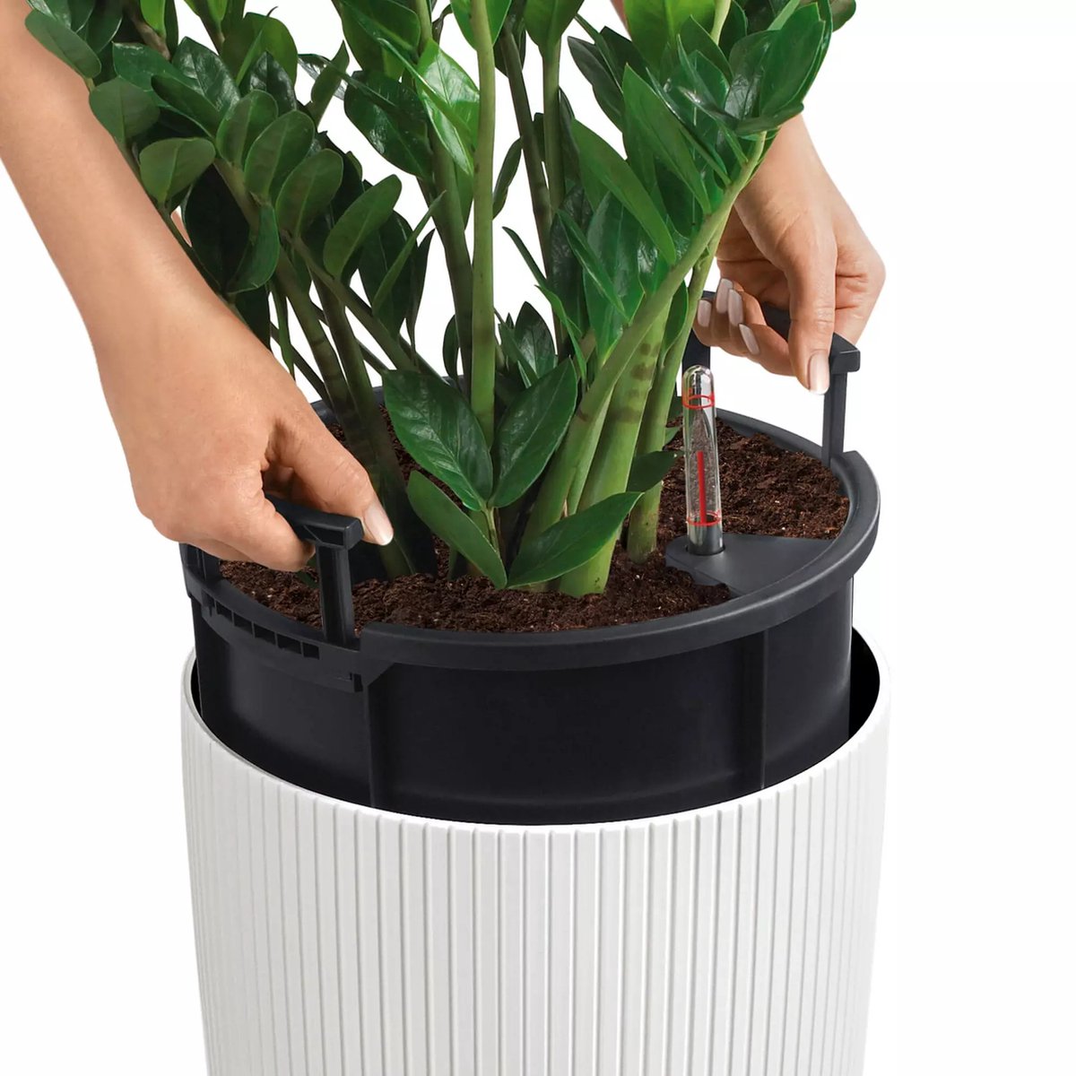 Lechuza Cilindro Color 23 - Planter - with removable inner pot
