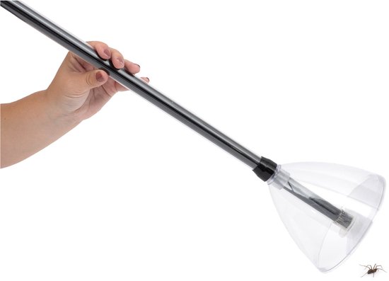 Een hand houdt een spinnenval met lange steel, met een spin aan de voorkant op de grond.