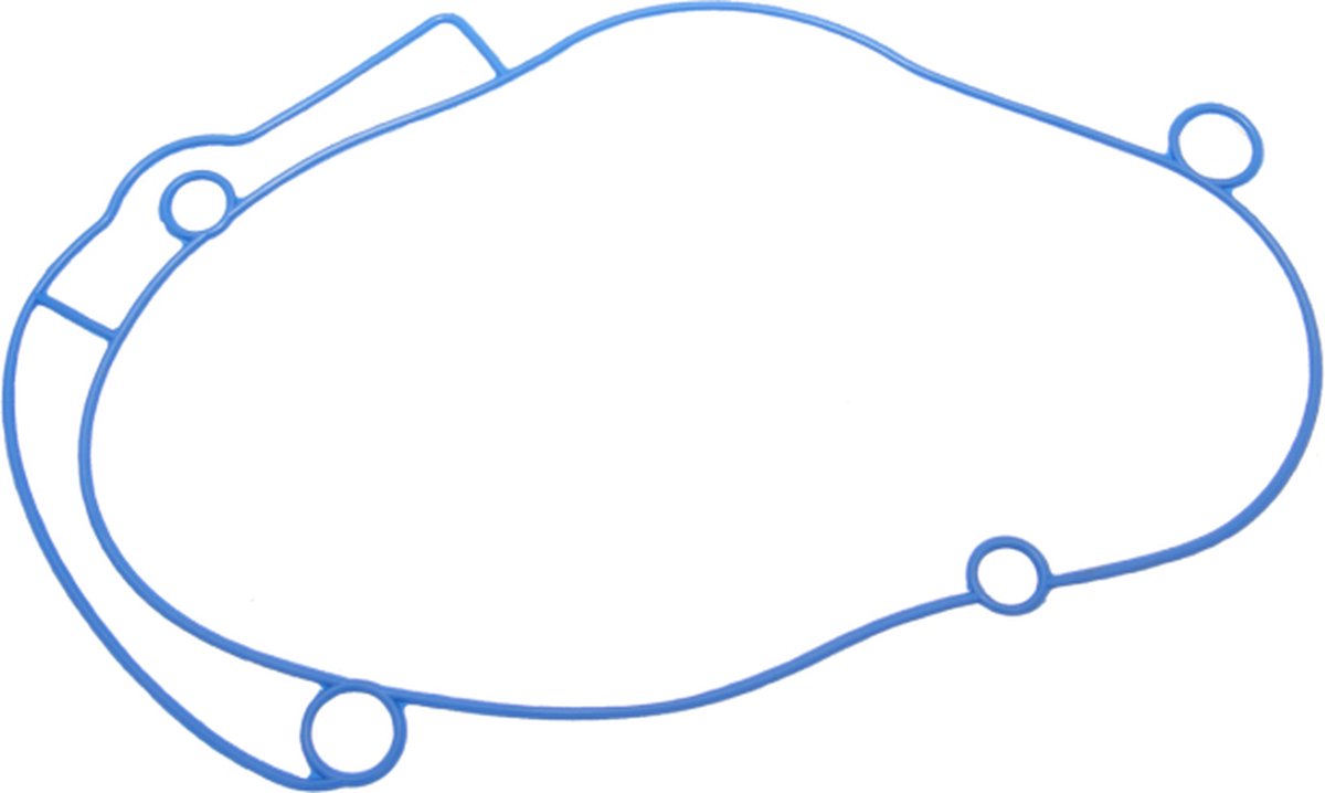 O-ring transmissiedeksel Polini Evo Piaggio
