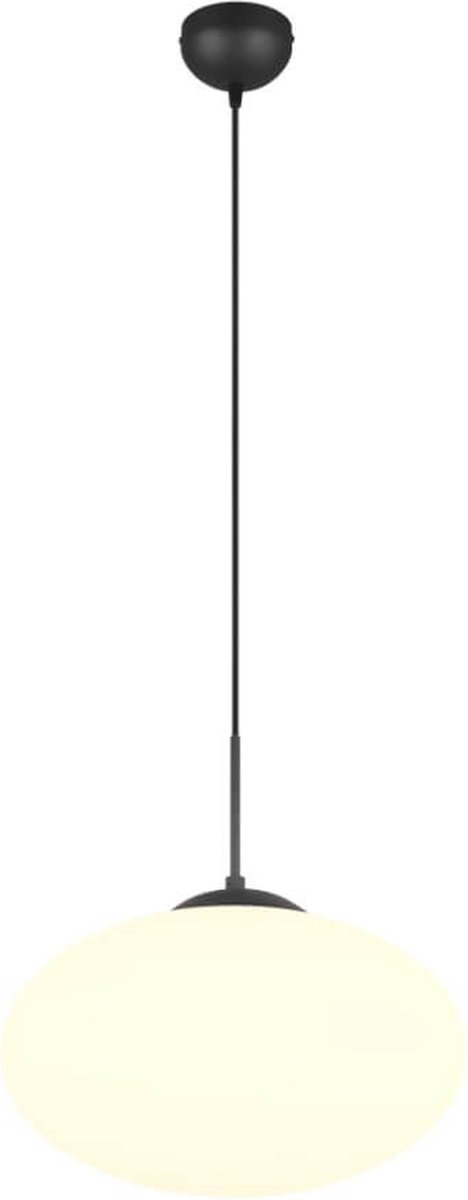 Ovale hanglamp Fomento Ø 40cm - zwart met wit glas - 363190132