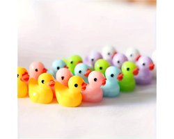 Foto: 