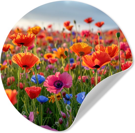 WallCircle® - Behangcirkel 100x100 cm - Muurstickers Bloemen - Klaprozen - Kleurrijk - Natuur - Muurcirkel woonkamer - Wandcirkel slaapkamer - Kamer decoratie zelfklevend - Muurdecoratie accessoires XXL