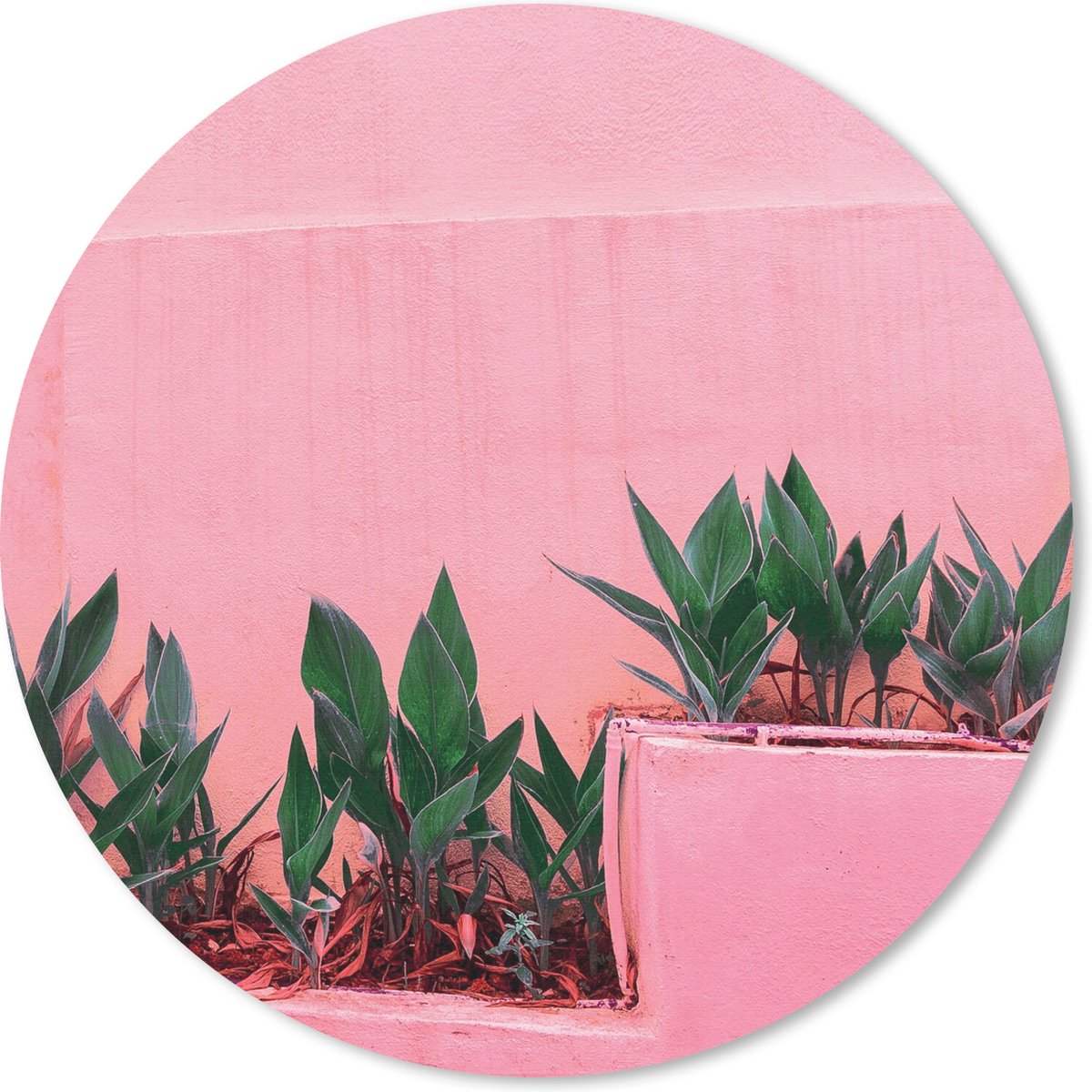 Muismat rond 20x20 cm - Mousepad Planten - Zomer - Verf - Ronde muismatten