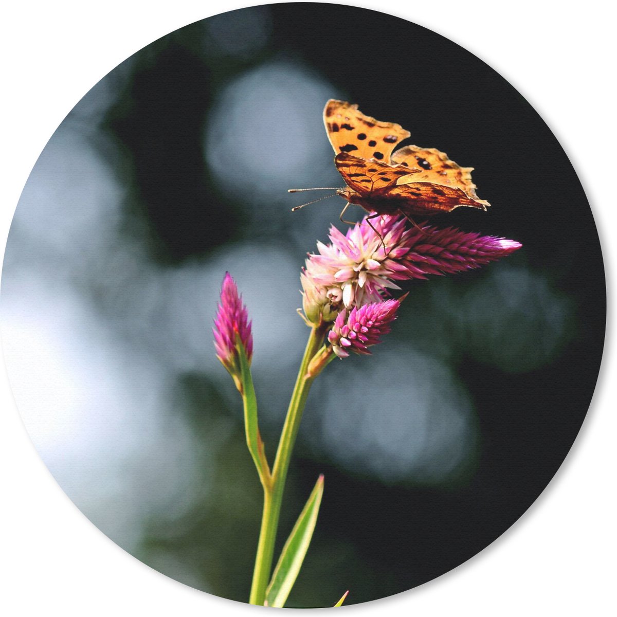 Muismat rond 20x20 cm - Mousepad Vlinder - Bloemen - Insecten - Ronde muismatten