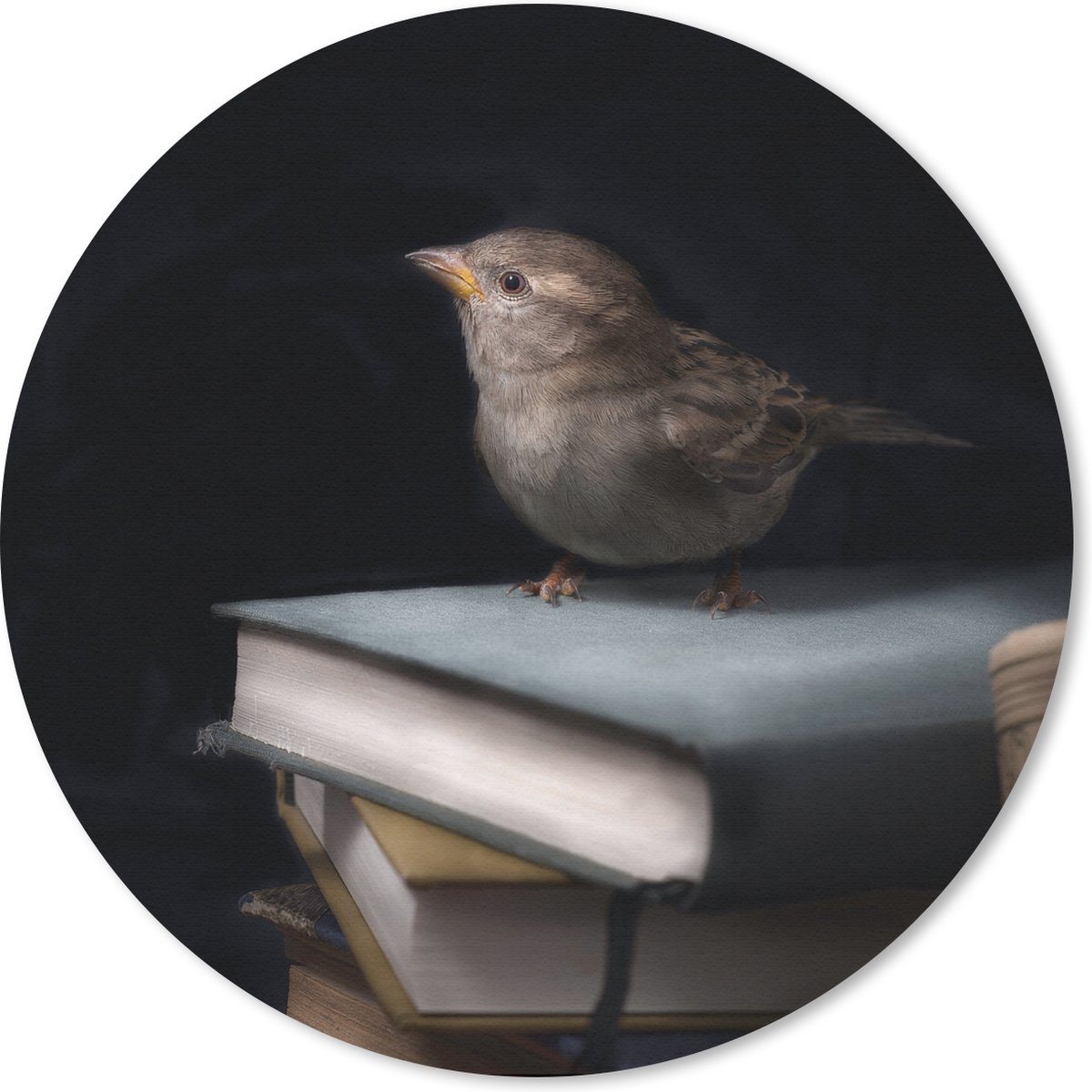 Muismat rond 40x40 cm - Mousepad Vogel - Boeken - Portret - Ronde muismatten