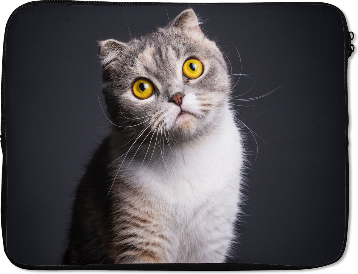 Laptophoes 15.6 inch - Kat - Ogen - Licht - Laptop sleeve - Binnenmaat 37x26 cm - Zwarte achterkant
