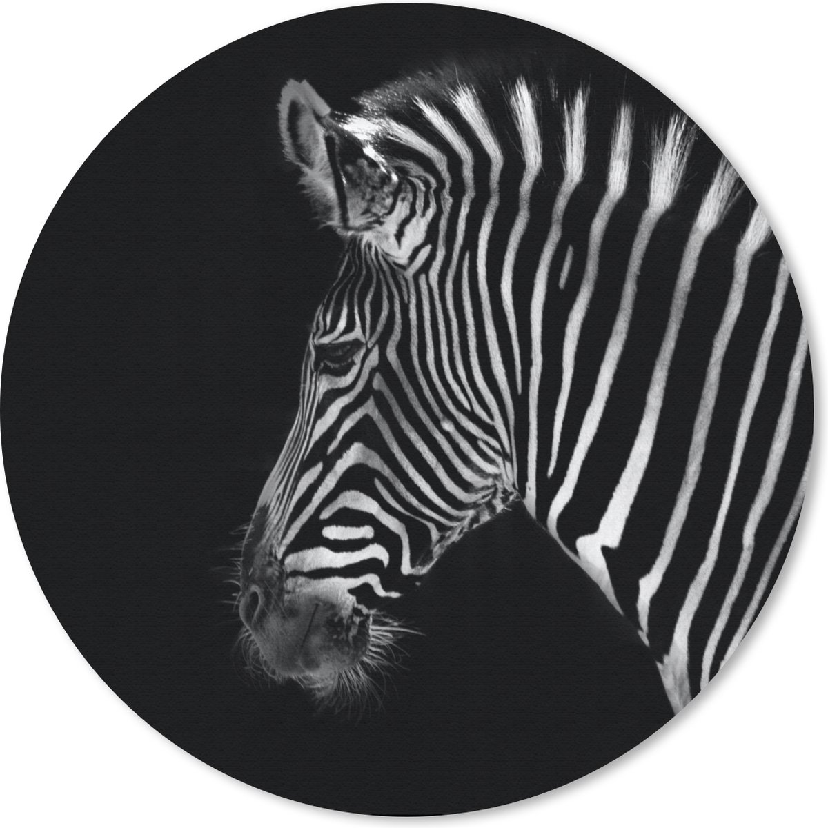 Muismat rond 50x50 cm - Mousepad Zebra - Wilde dieren - Zwart - Ronde muismatten