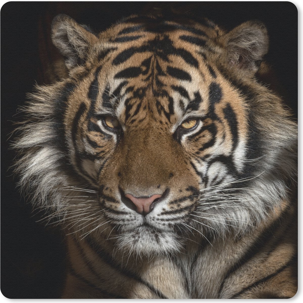 Muismat 20x20 cm - Mousepad Tijger - Wilde dieren - Portret - Muismatten