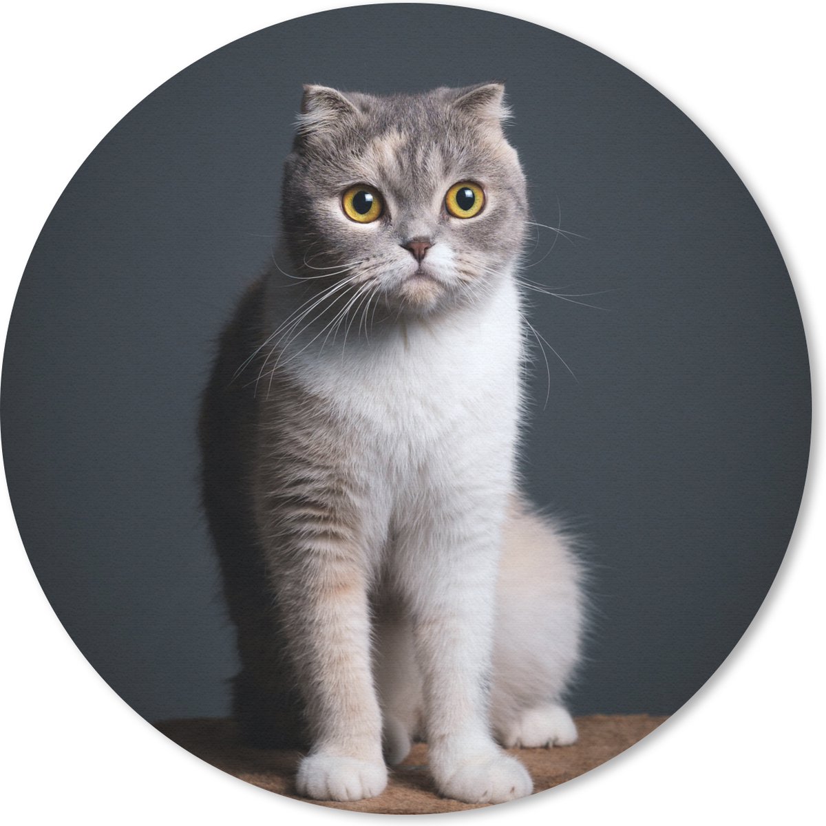 Muismat rond 20x20 cm - Mousepad Kat - Huisdieren - Licht - Ronde muismatten