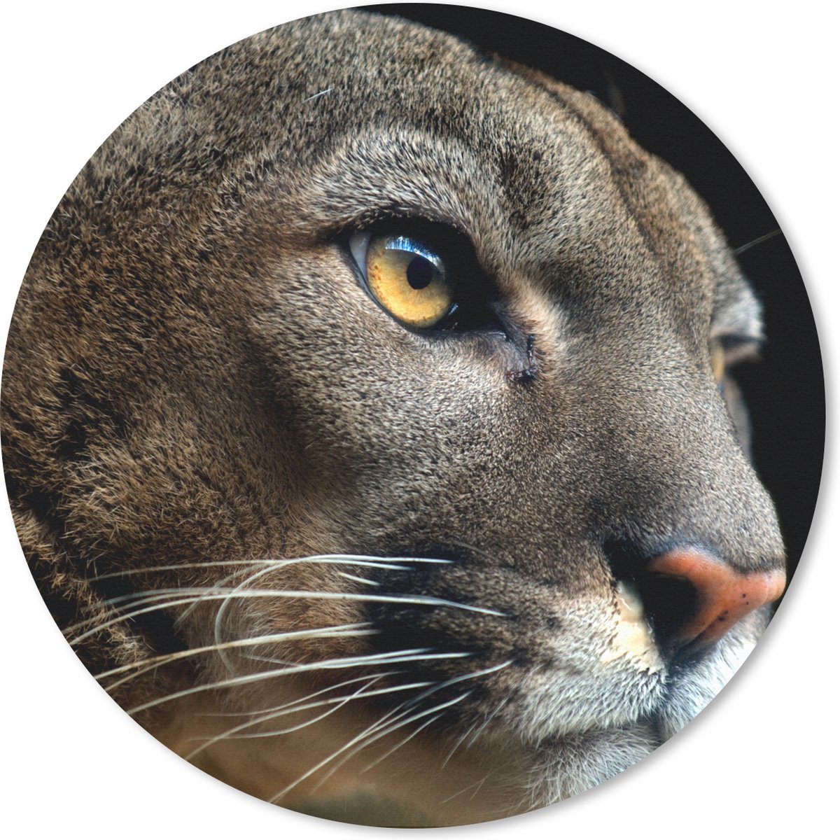 Muismat rond 20x20 cm - Mousepad Poema - Wilde dieren - Portret - Ronde muismatten