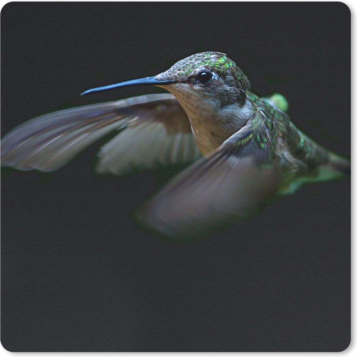 Muismat 20x20 cm - Mousepad Kolibrie - Vogel - Veren - Zwart - Muismatten