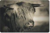Muismat - Mousepad - Schotse Hooglander - Dieren - Haar - 27x18 cm - Muismatten