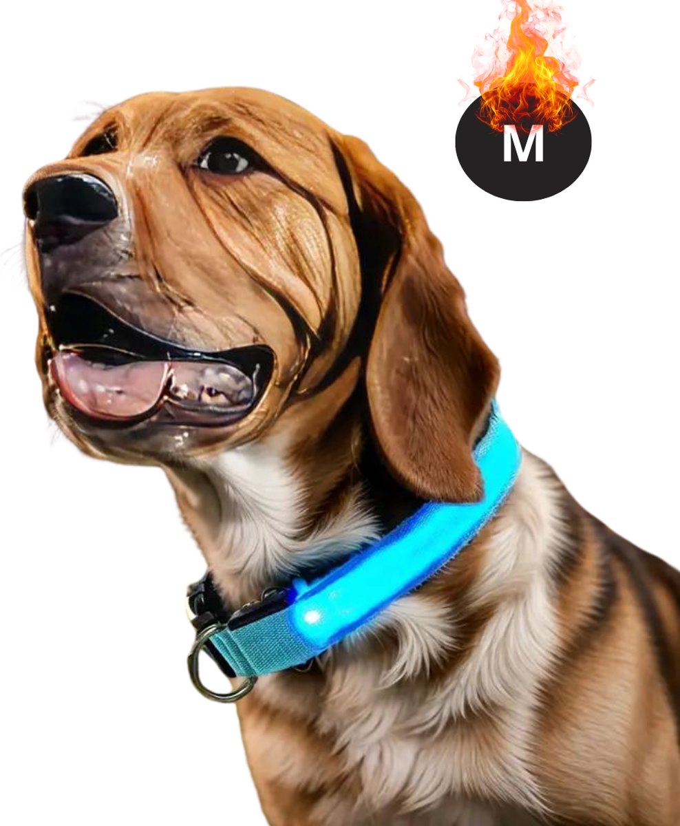 Livano Lichtgevende Halsband - Verlichte Halsband - Lichtgevend - Hond - Kat - Lampje - Hondenhalsband Led - Oplaadbaar - Glow In The Dark - Blauw - M