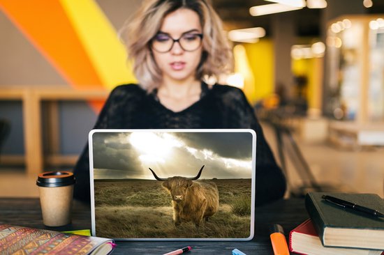 Autocollant pour ordinateur portable - 10,1 pouces - Highlander écossais - Soleil - Animaux - 25x18cm - Autocollants pour ordinateur portable - Peau pour ordinateur portable - Couverture