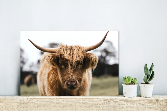 Aluminium schilderij 30x20 cm - Wanddecoratie metaal - Schotse Hooglander - Koe - Gras - Dieren - Natuur - Metalen muurdecoratie woonkamer - Decoratie industrieel - Foto op dibond - Industriële accessoires slaapkamer