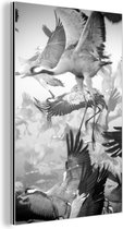Aluminium schilderij 80x120 cm - Wanddecoratie metaal - Kraanvogel - Zwart wit - Dieren - Vogels - Metalen muurdecoratie woonkamer - Decoratie industrieel - Foto op dibond - Industriële accessoires slaapkamer