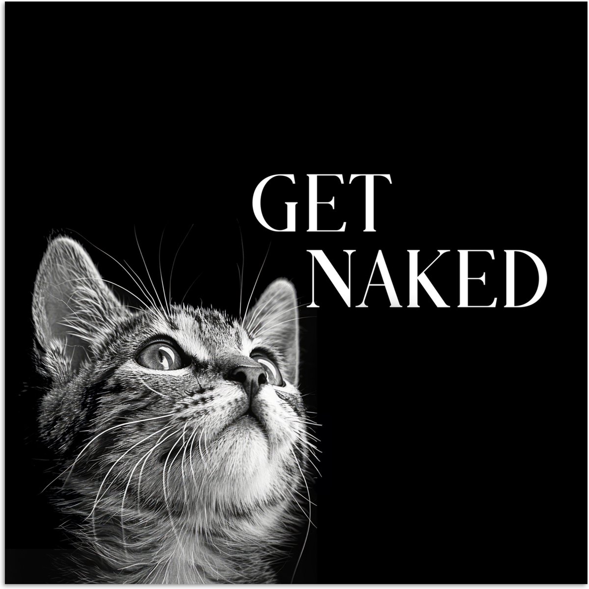 Poster 50x50 cm - Kat - Dieren - quote - Get naked - Zwart - Posters - Wanddecoratie badka