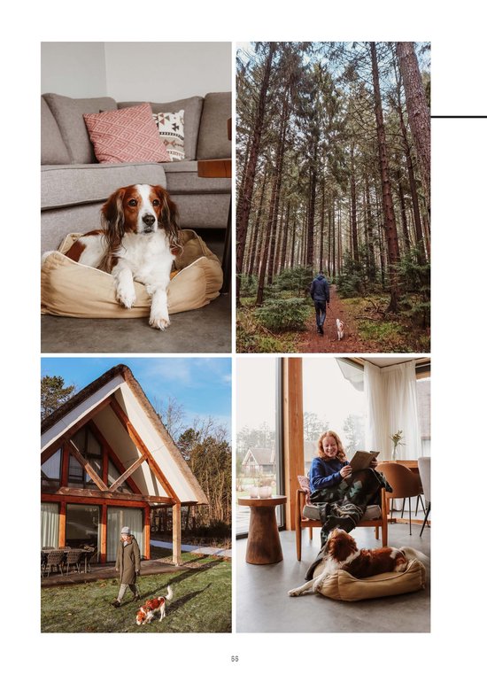 Eropuit met je hond