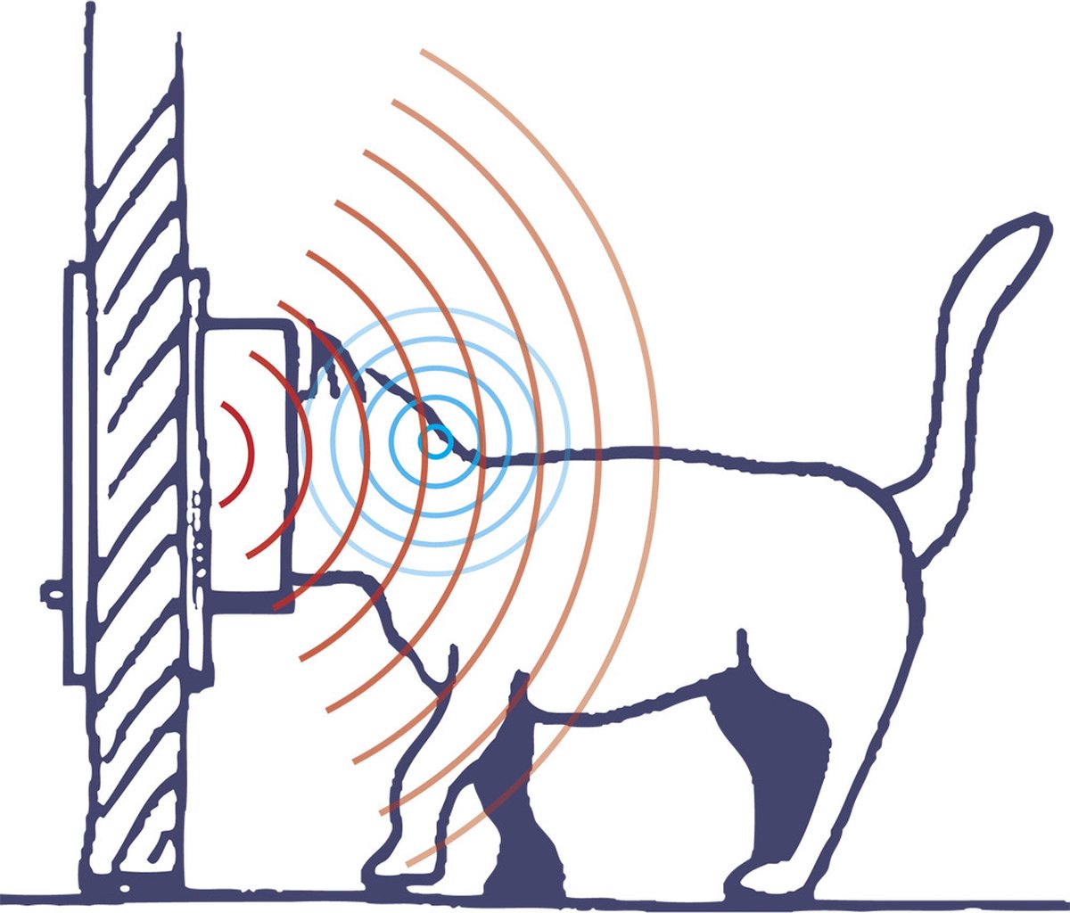 Ferplast Dierenluik Swing Microchip - Kattenluik - 22.5x16.2x25.2 cm Wit thumbnail 3