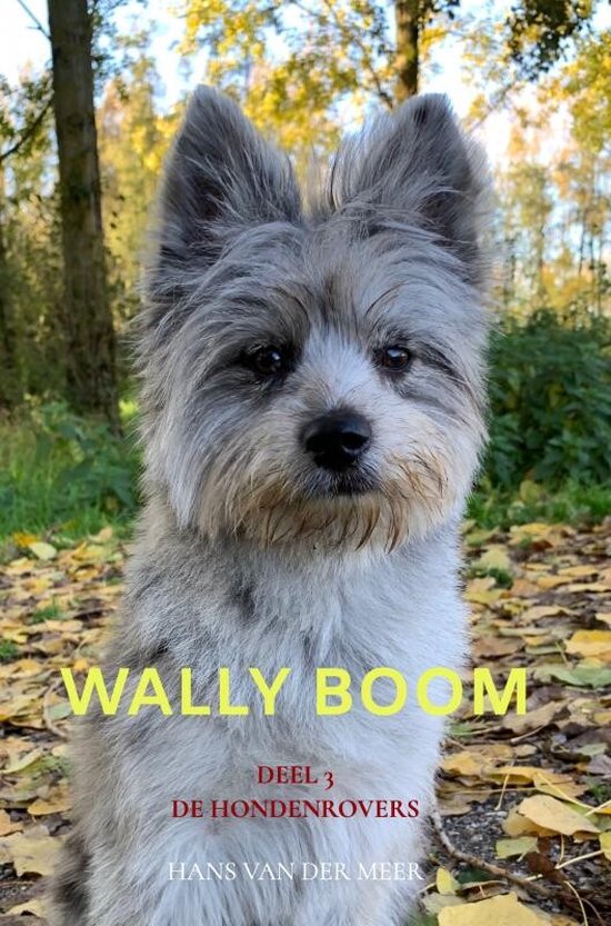 Wally Boom - cover