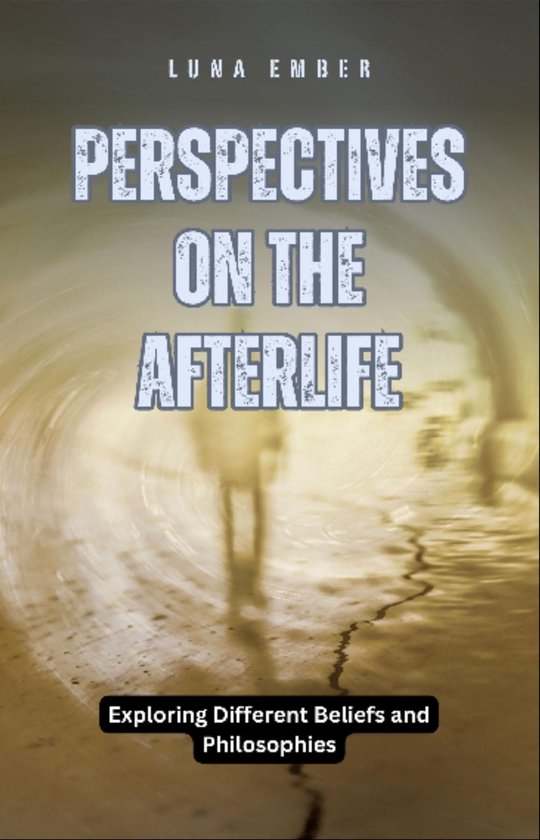 Perspectives on the Afterlife - cover