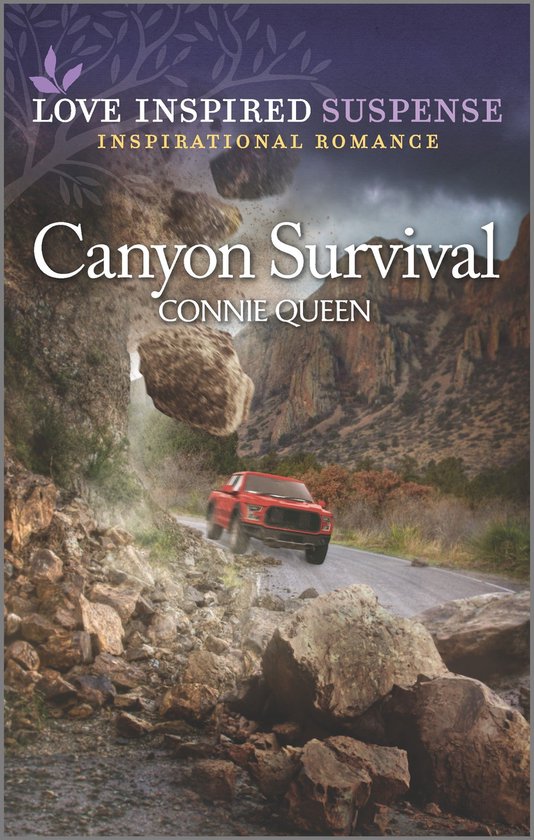 Canyon Survival - cover