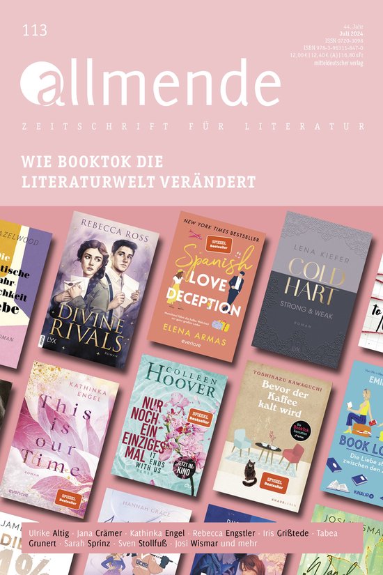 Allmende 113 – Zeitschrift für Literatur - cover