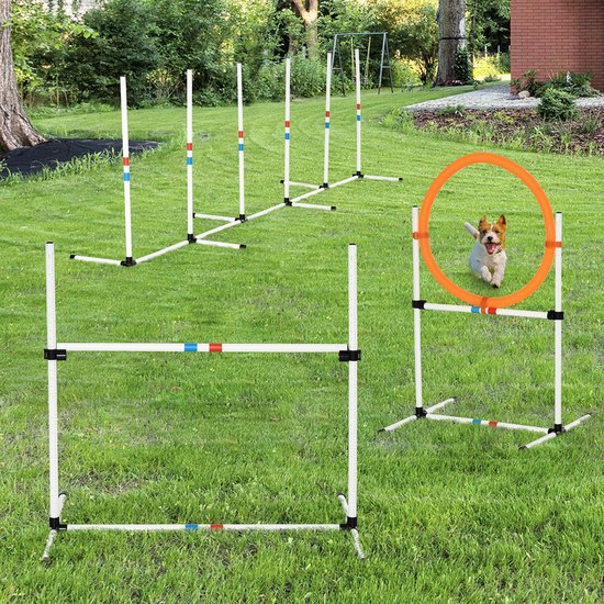 Hondenbehendigheidsset 3-in-1 training (NIEUW