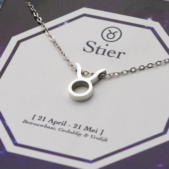 Close-up van een zilverkleurige ketting met Taurus (Stier) symbool hanger op een kaart.