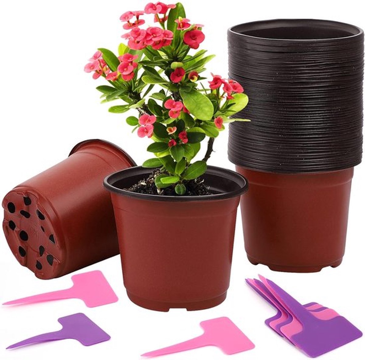 PolkaHome 50 stuks kweekpotten 12 cm kunststof ronde bloempot plastic kweekpot onderpot met 50 plantenborden