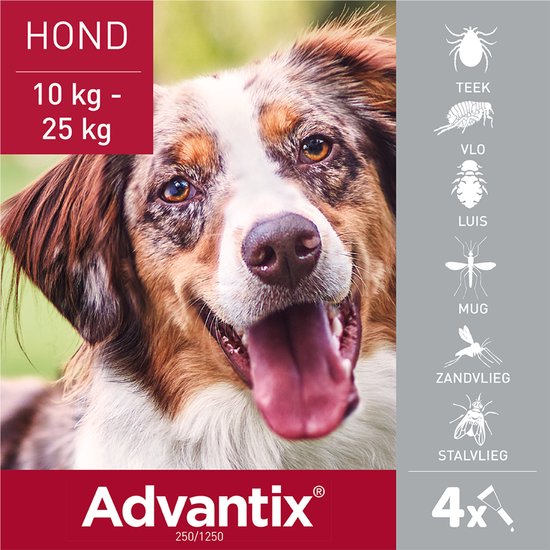 Advantix spot-on solution voor honden 10-25 kg, met een vrolijke hond die kwispelt en zijn tong uitsteekt.