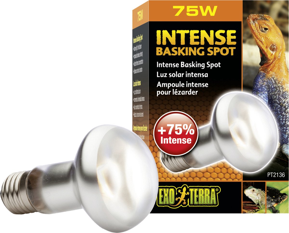 Exo Terra Basking - Spot Lamp - Terrarium Verlichting - 75W op Prijzenvolger.com