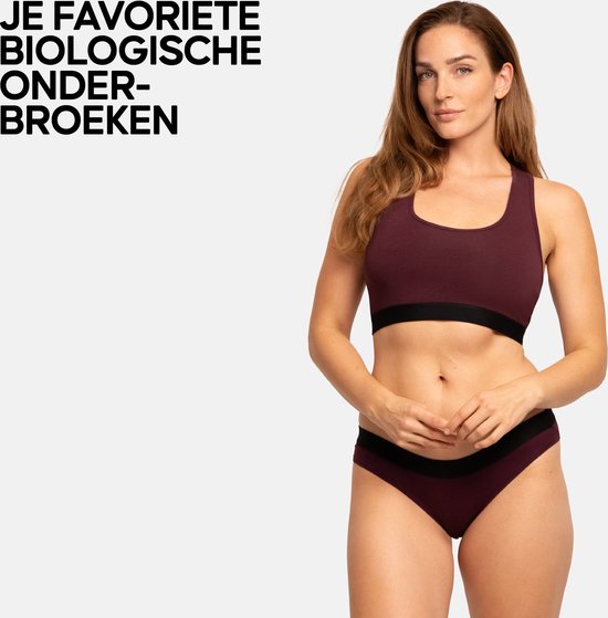 DANISH ENDURANCE Culottes en Katoen Bio - Sans Coutures - Taille Élastique - pour Femme - Paquet de 6 - Multicolore - M