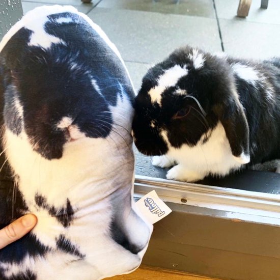 PillowBuddies - Oreiller câlin avec propre impression - 30 cm - de votre animal de compagnie, visage, véhicule, etc. - avec eigen photo - Coussin pour chien - Coussin pour chat