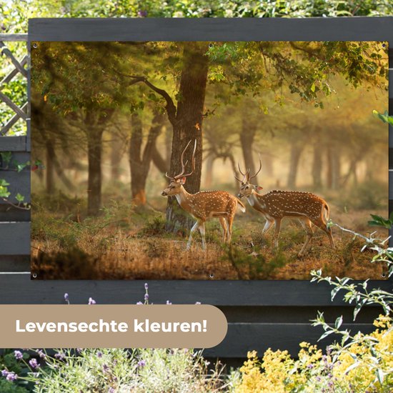 Tuinposter 180x120 cm - Tuindecoratie Herten - Bos - Herfst - Bosdieren - Natuur - Hert - Poster voor in de tuin - Buiten decoratie - Schutting tuinschilderij - Tuindoek muurdecoratie - Wanddecoratie balkondoek