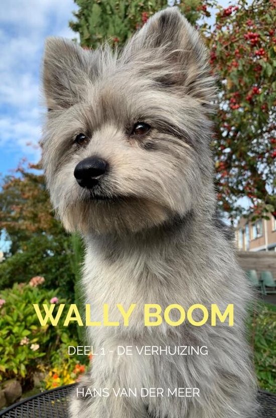 Wally Boom - cover