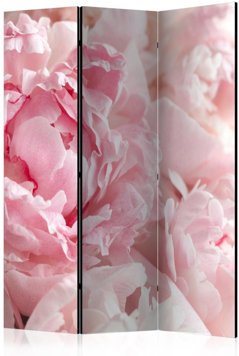 Vouwscherm / Kamerscherm - Pioenrozen, roze 135x172cm, gemonteerd geleverd, dubbelzijdig geprint