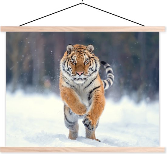 Porte-affiche avec affiche - Affiche scolaire - Tigre - Paysage - Neige - Hiver - Animaux - 150x113 cm - Lattes noires