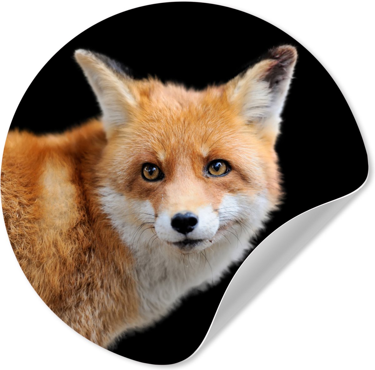 WallCircle® - Behangcirkel 100x100 cm - Muurstickers Vos - Inductie beschermer - Portret -