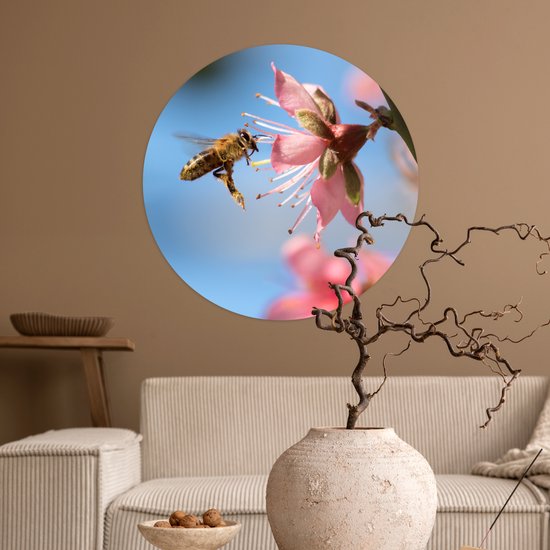 WallCircle® - Papier peint cercle 80x80 cm - Stickers muraux Abeille - Bloem - Rose - Cercle mural salon - Cercle mural chambre - Décoration de chambre autocollante - Accessoires de Décoration murale