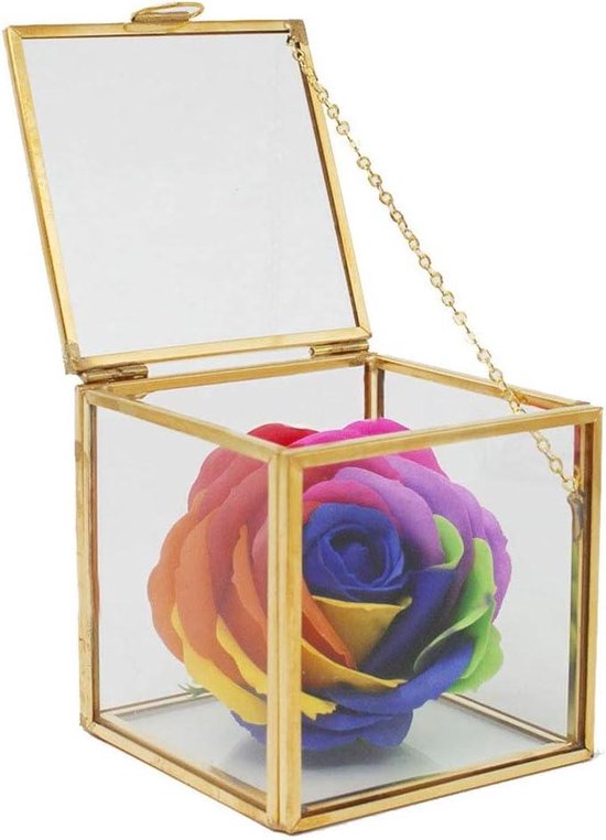 Masa dekor geometrik teraryum gümüş Metal ve cam Succulents teraryum konteyner h